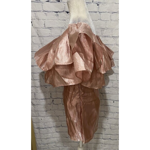 NWT Choosy Copper Rose Organza Dress - NWT Pink Shimmer - Size XS - Picture 4 of 8